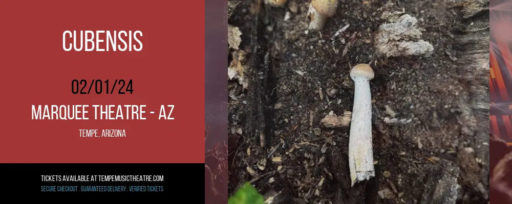 Cubensis at Marquee Theatre - AZ